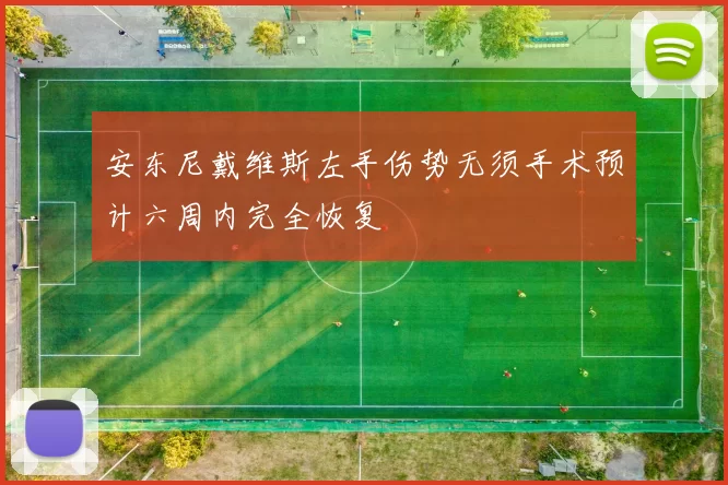 安东尼戴维斯左手伤势无须手术预计六周内完全恢复