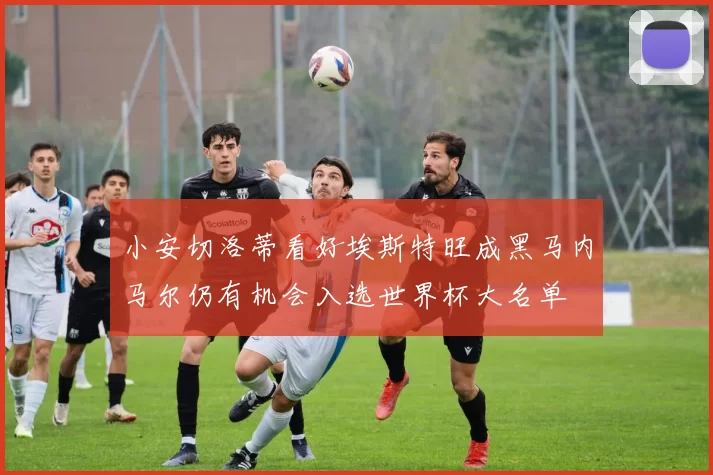 小安切洛蒂看好埃斯特旺成黑马内马尔仍有机会入选世界杯大名单